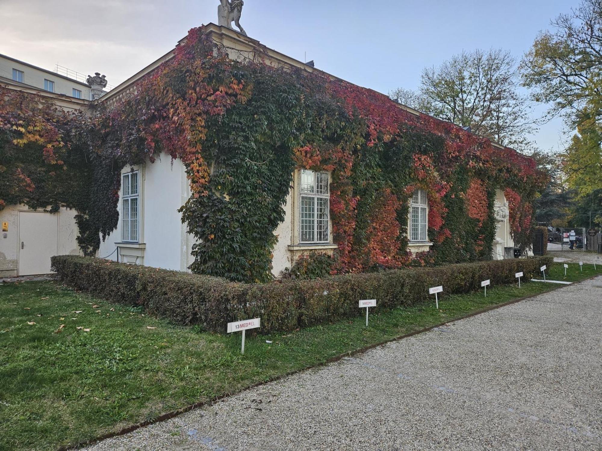 Mauthaus Lichtenstein Вена Экстерьер фото